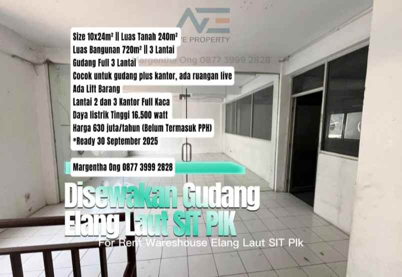 disewakan gudang elang laut sit pik 3 lantai