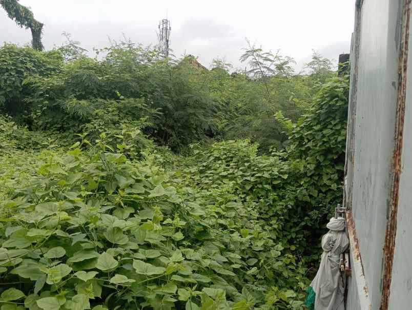 disewakan tanah jalan penjernihan