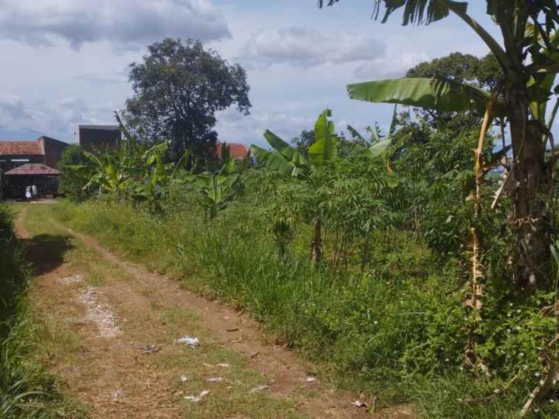 jual cepat tanah cileunyi 200m