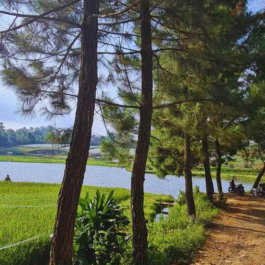 jual kavling villa murah di lembang