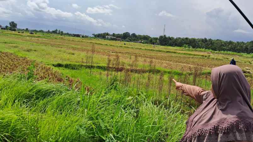 jual tanah pinggir jalan wates bantul