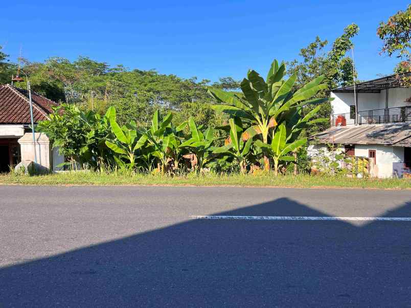 jual tanah strategis buka usaha karangpandan