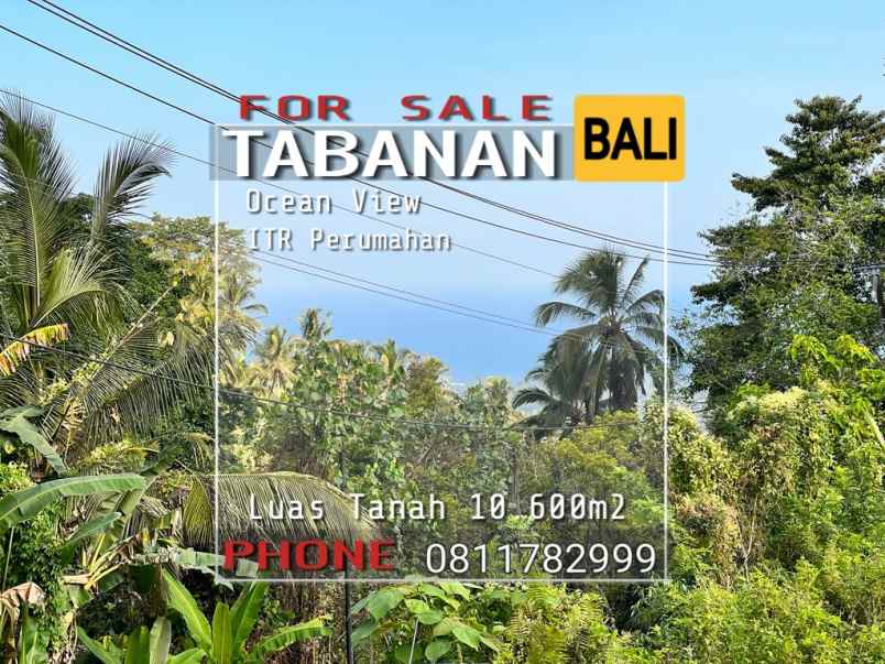 jual tanah view pantai pinggir jalan surabrata