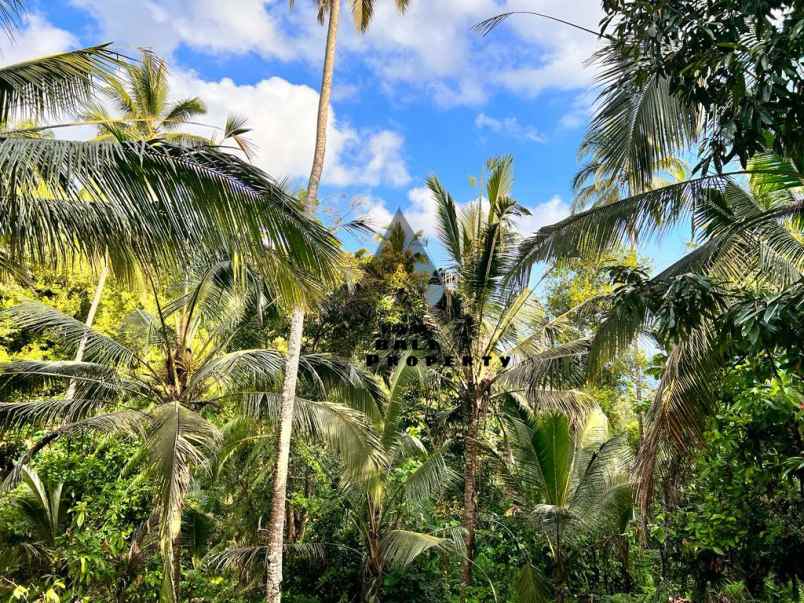 jual tanah view pantai pinggir jalan surabrata