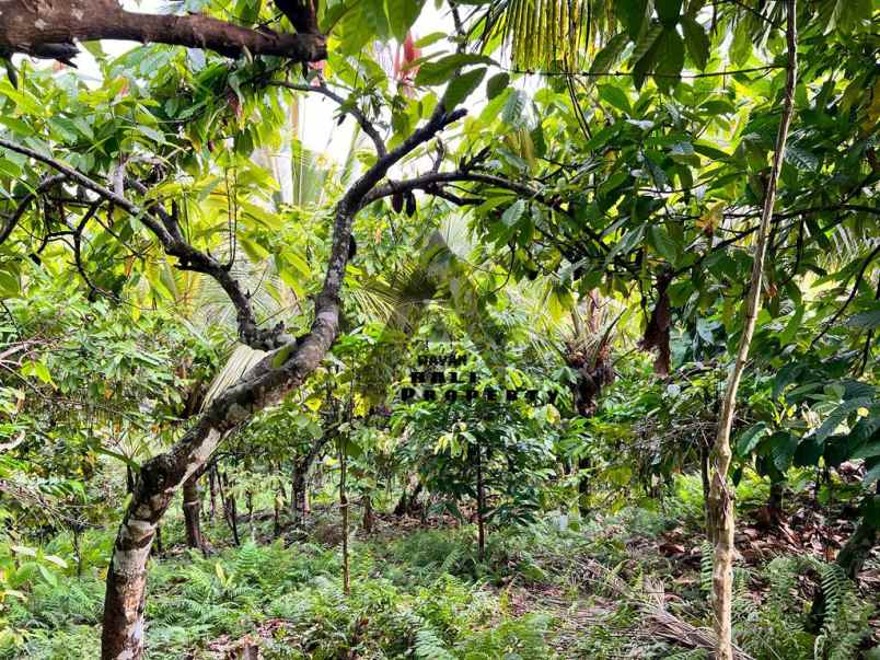 jual tanah view pantai pinggir jalan surabrata