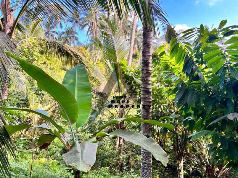 jual tanah view pantai pinggir jalan surabrata