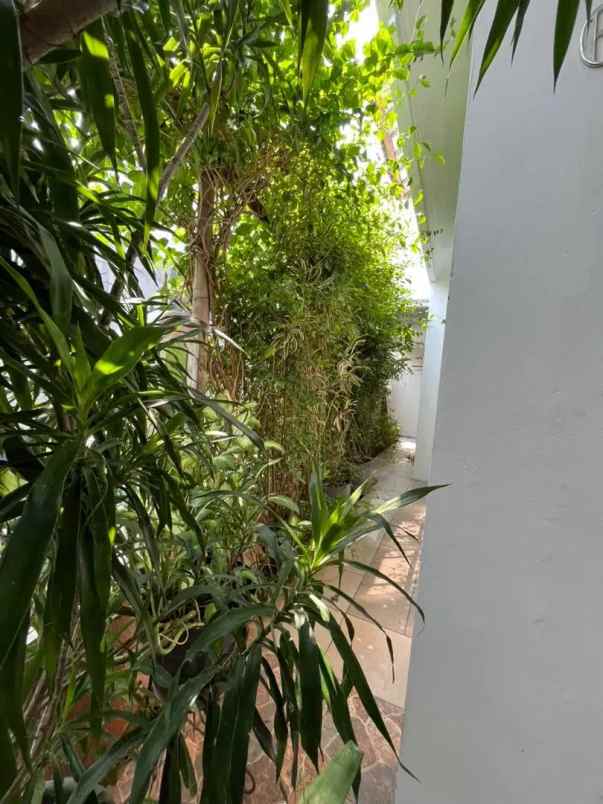 rumah hook area munjul 55 meter ke jln raya munjul