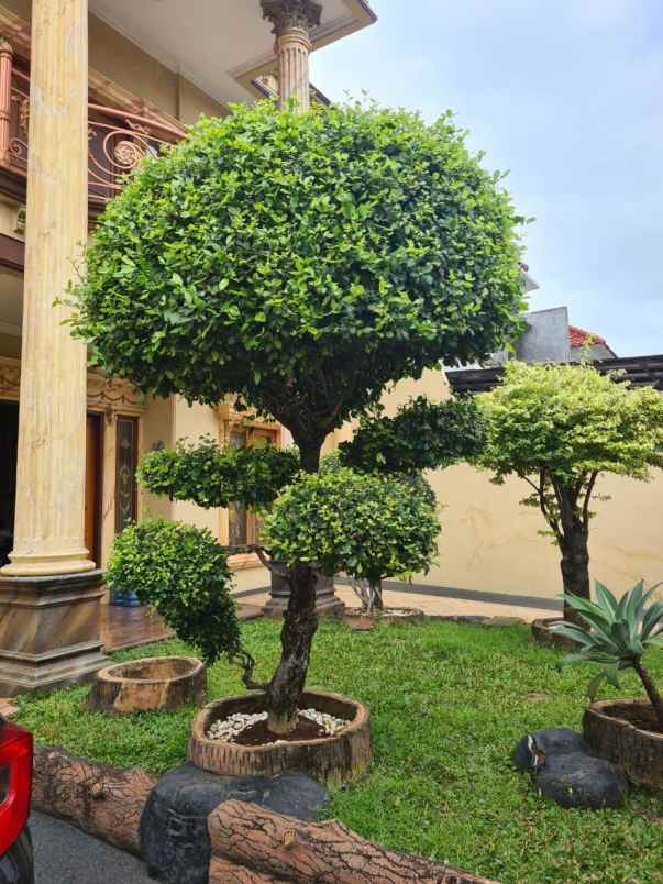 rumah klasik di harapan indah regency bekasi