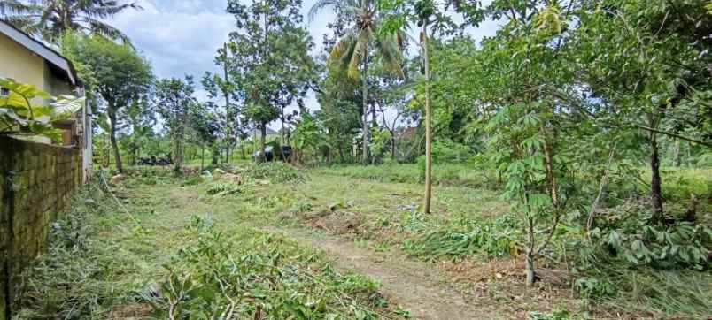 rumah pesan bangun di sardonoharjo ngaglik