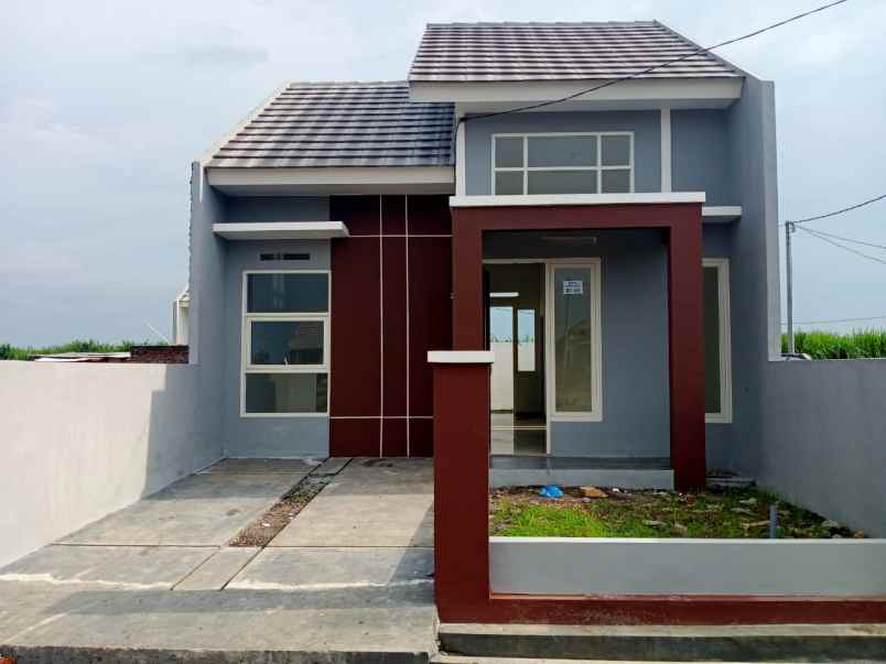 rumah rumah murah desain modern