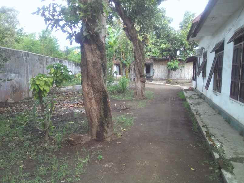 rumah tepi jalan warung dowo