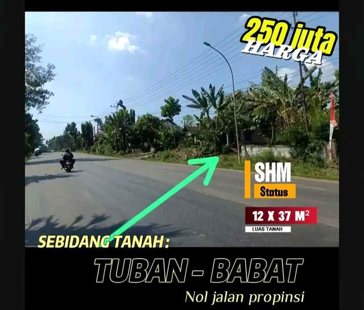 sebidang tanah shm nol jalan propinsi