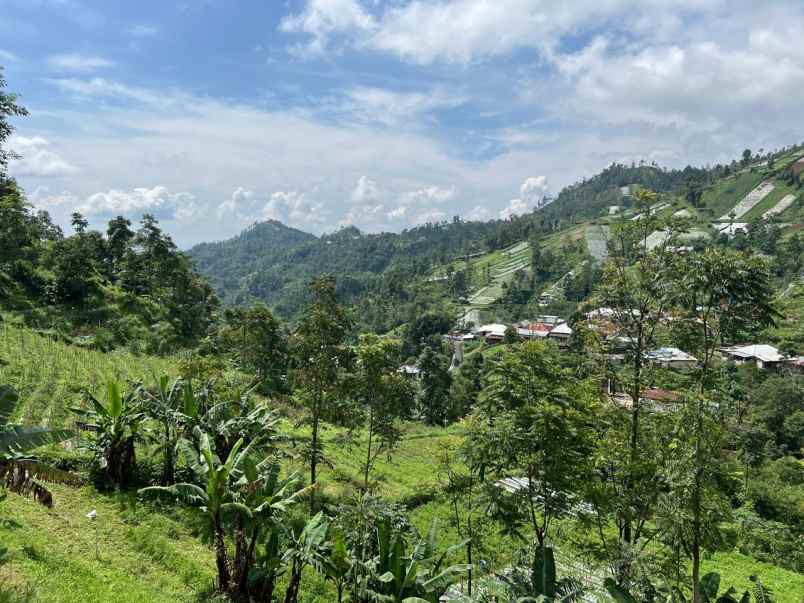 tanah 200 juta udara dingin kawasan wisata karanganyar