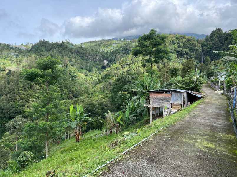 tanah 200 juta udara dingin kawasan wisata karanganyar