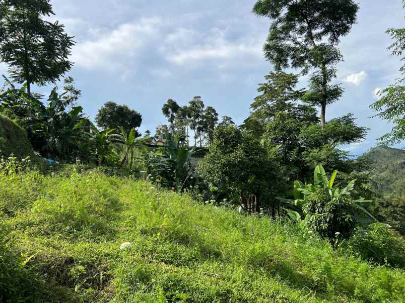 tanah 200 juta udara dingin kawasan wisata karanganyar