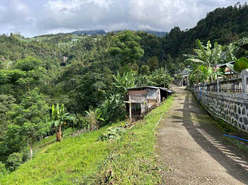 tanah 200 juta udara dingin kawasan wisata karanganyar