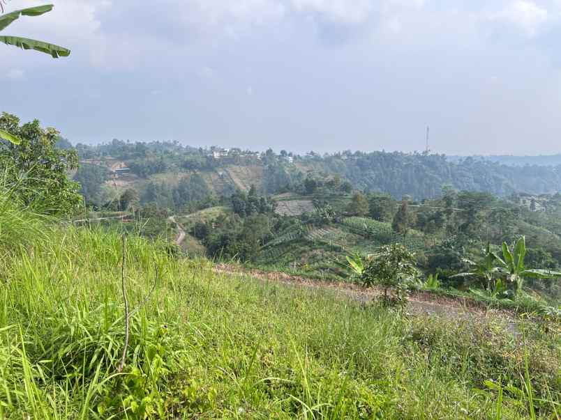 tanah 450 juta cocok untuk villa tawangmangu