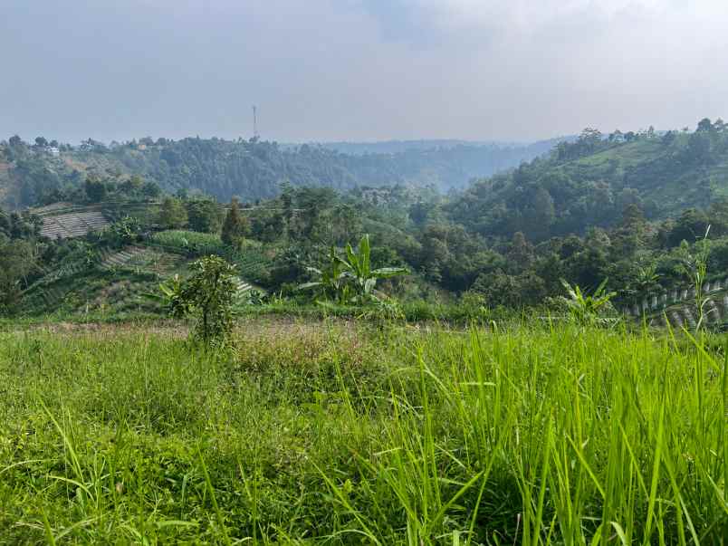 tanah 450 juta cocok untuk villa tawangmangu