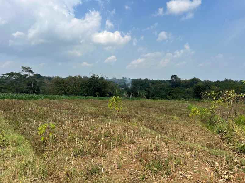 tanah 4720m hanya 5 menit dari pasar mojogedang