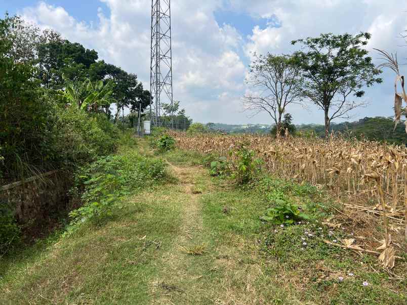 tanah 4720m hanya 5 menit dari pasar mojogedang