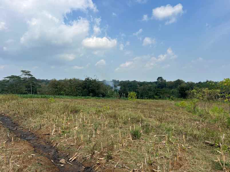 tanah 4720m hanya 5 menit dari pasar mojogedang