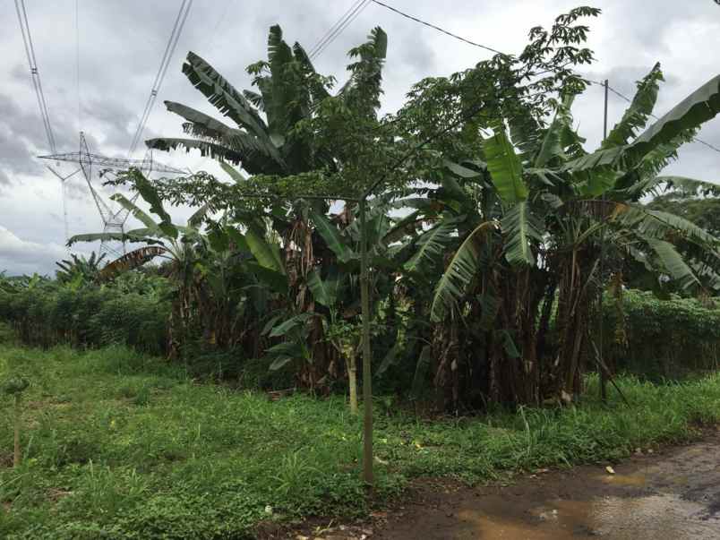 tanah bojong gede jawa barat