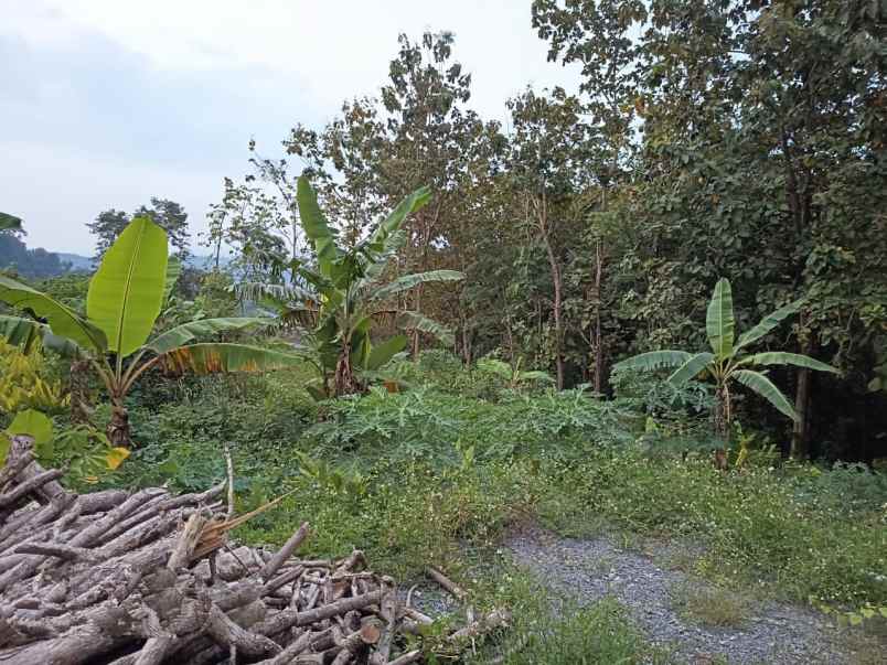 tanah bulusan tembalang semarang