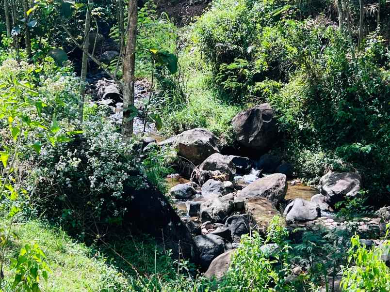 tanah datar 6157m2 dekat candi cetho karanganyar