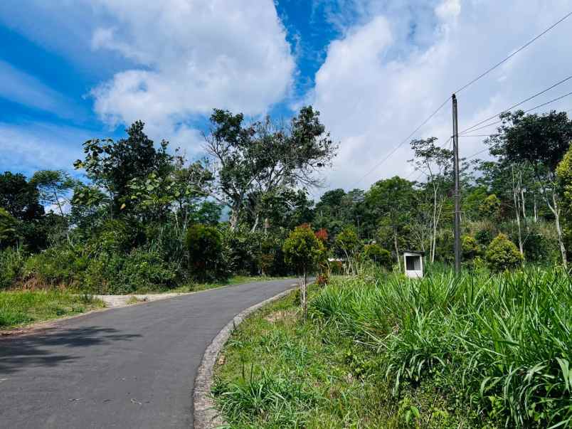tanah datar 6157m2 dekat candi cetho karanganyar