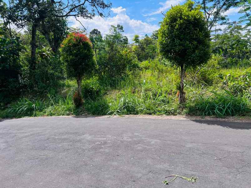 tanah datar 6157m2 dekat candi cetho karanganyar