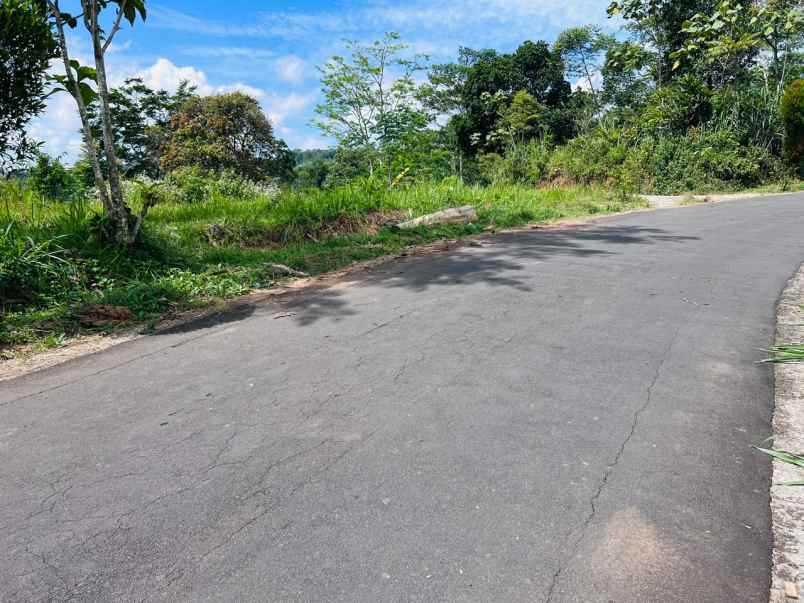 tanah datar 6157m2 dekat candi cetho karanganyar