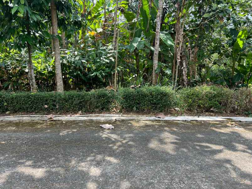 tanah datar utara pasar mojogedang 990m2 strategis