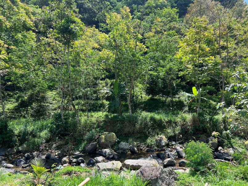 tanah dekat sungai 3929m utara jembatan kaca kemuning