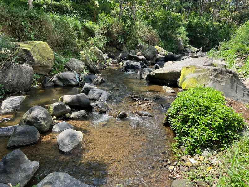 tanah dekat sungai 3929m utara jembatan kaca kemuning