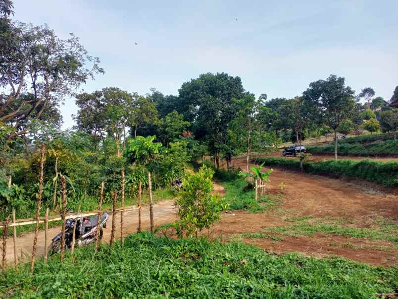 tanah dijual tajur halang cijeruk bogor