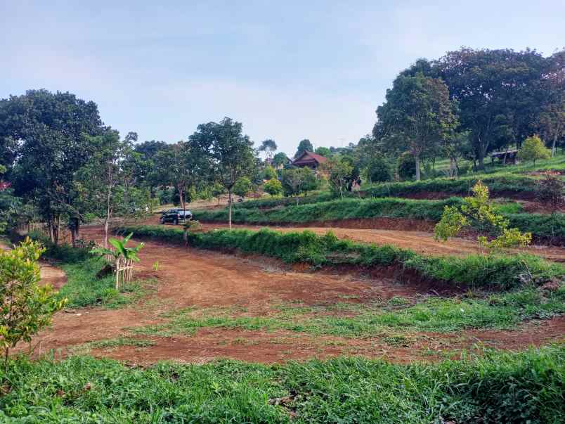 tanah dijual tajur halang cijeruk bogor