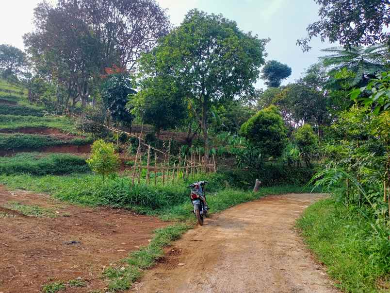 tanah dijual tajur halang cijeruk bogor