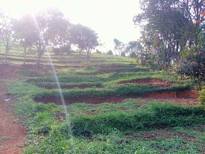 tanah dijual tajur halang cijeruk bogor