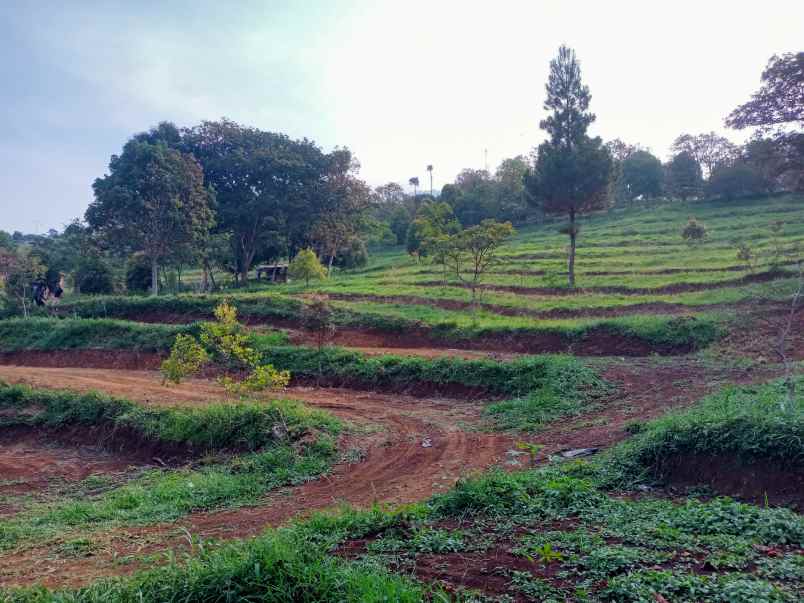 tanah dijual tajur halang cijeruk bogor