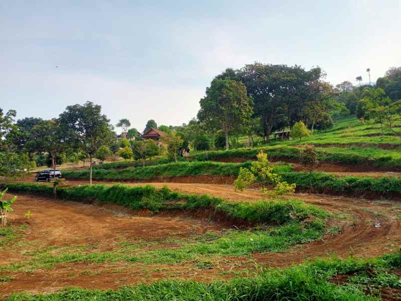 tanah dijual tajur halang cijeruk bogor