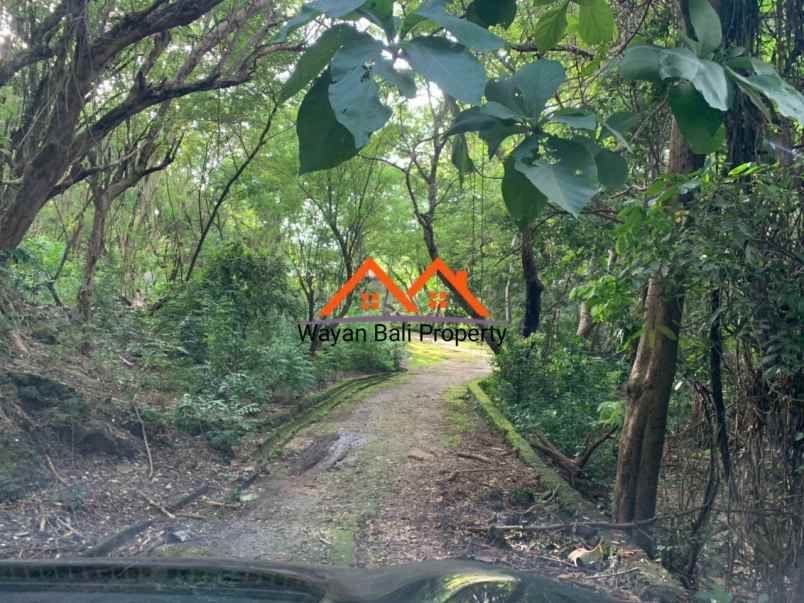 tanah jalan pantai green bowl