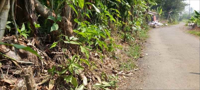 tanah jl raya cukanggalih