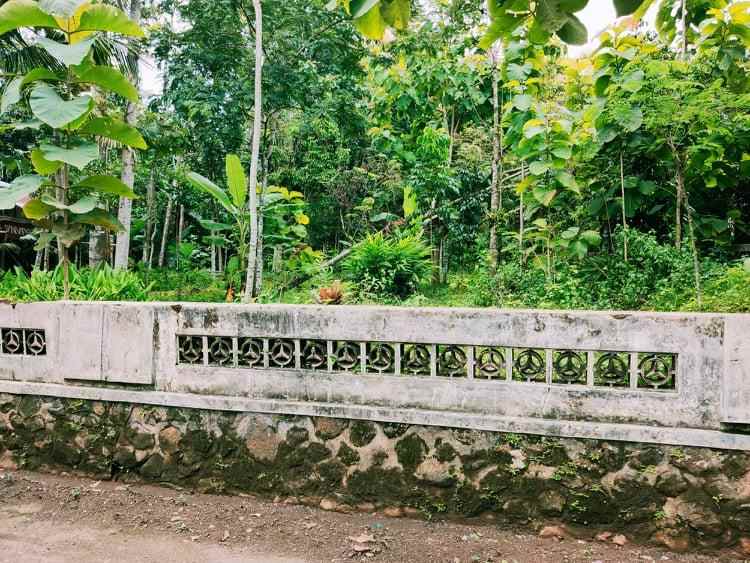 tanah karangpandan karanganyar