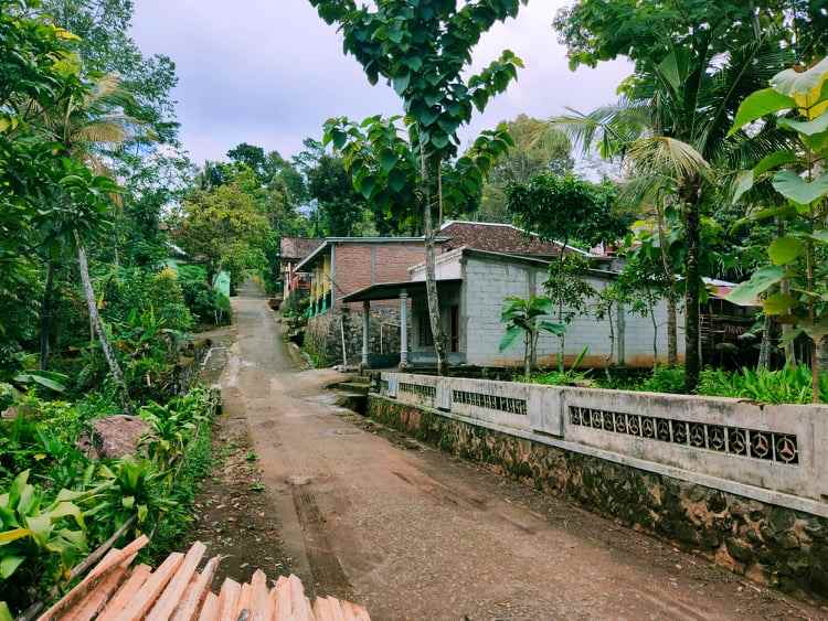 tanah karangpandan karanganyar