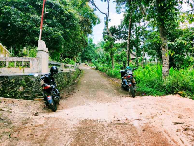 tanah karangpandan karanganyar