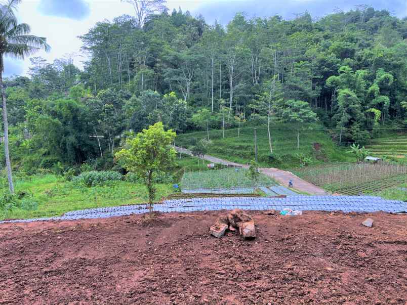 tanah kavling kota wisata tawangmangu karanganyar
