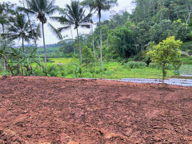 tanah kavling kota wisata tawangmangu karanganyar