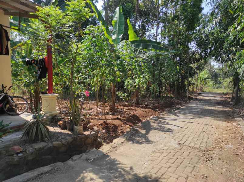 tanah kavling murah belakang polsek di gunungpati