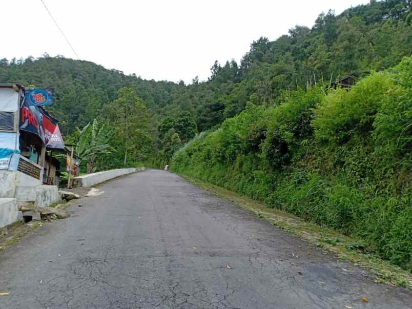 tanah kawasan wisata alam