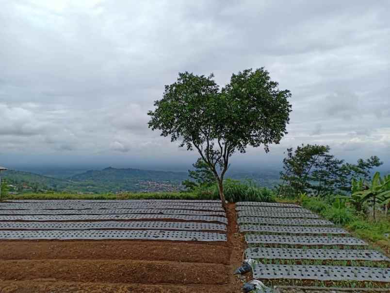 tanah kawasan wisata alam